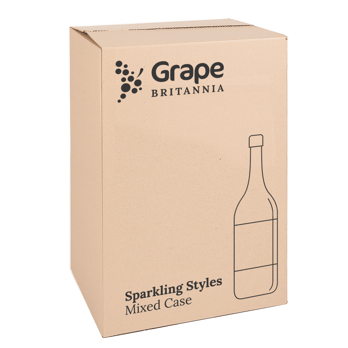 Sparkling Styles Case