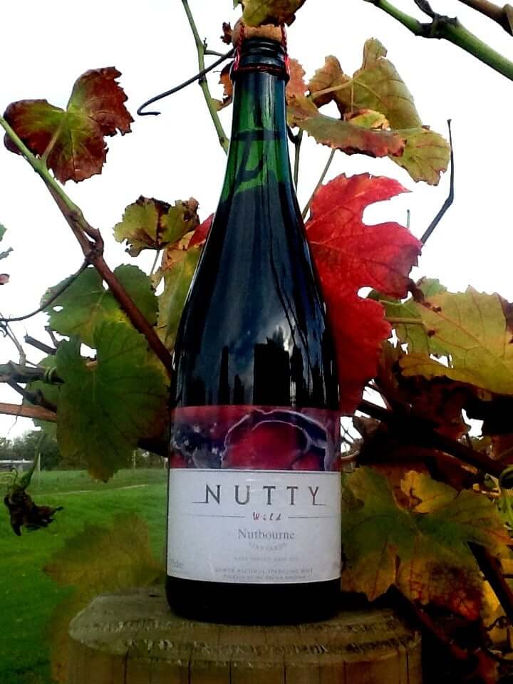 Wild in vineyard