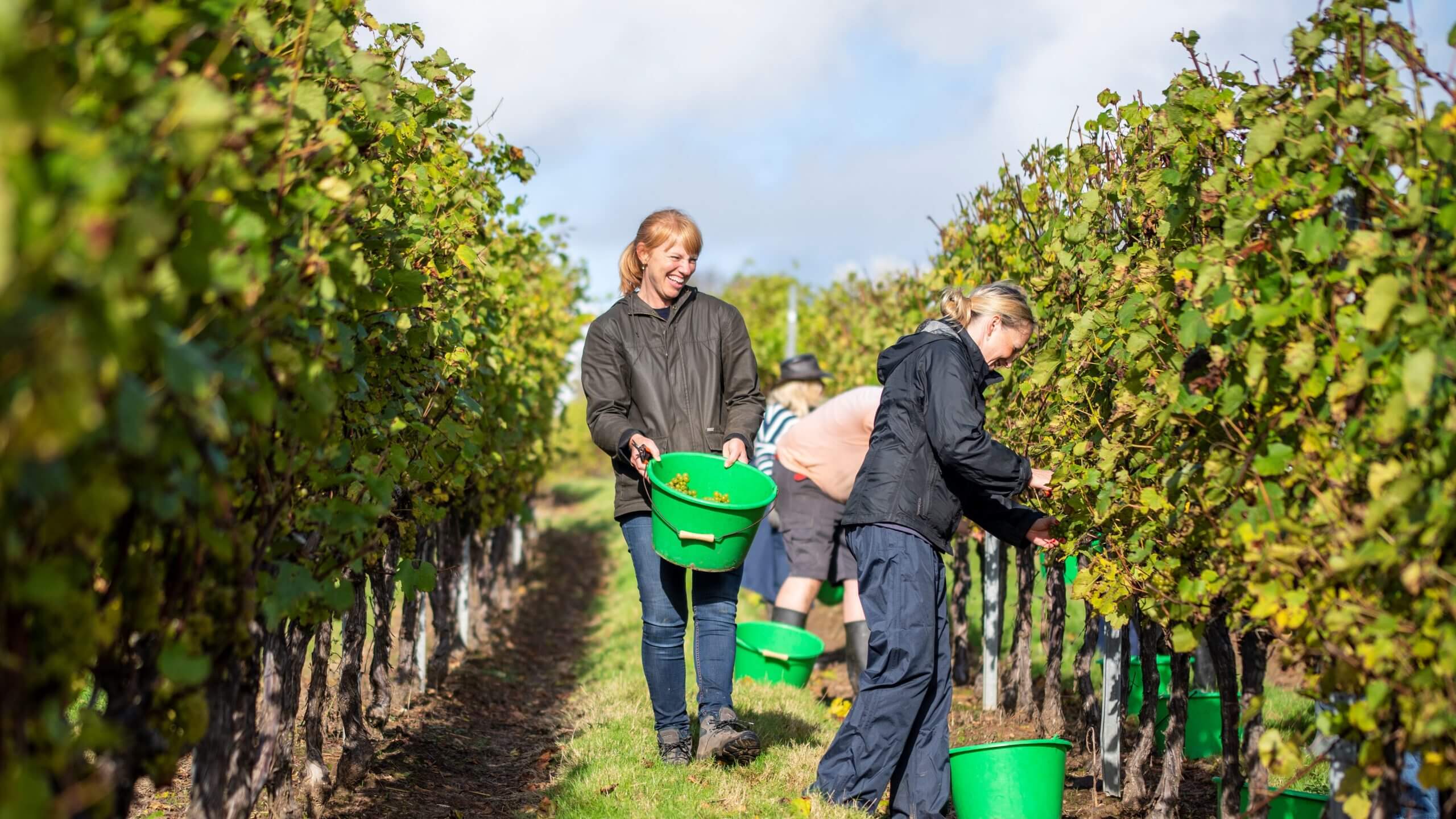 DSC 4990l scaled