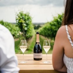 200 wines