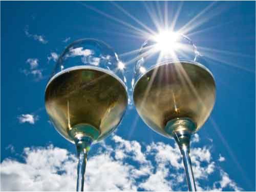 English wine in the sunshine