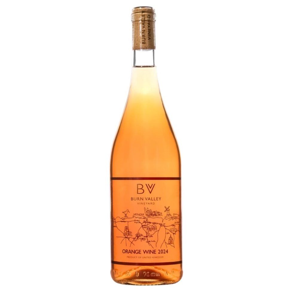 A bottle of Burn Valley Vineyard Orange Wine 2024, an English Orange Wine